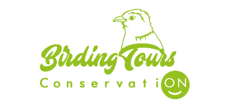 Logo Birding Tours Conservation