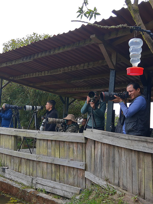 sony-taller <b>GRATUITO</b></br> Entre lentes y aves. Encuentro de saberes y tertulia fotográfica. - Image 1